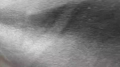 greetings  sergi  online show from 30, 11, 2025