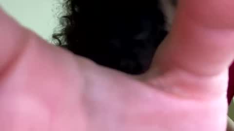 Snapshot of eulilah222 chatting on 17, 9, 2025 eulilah222 online show from 17, 9, 2025