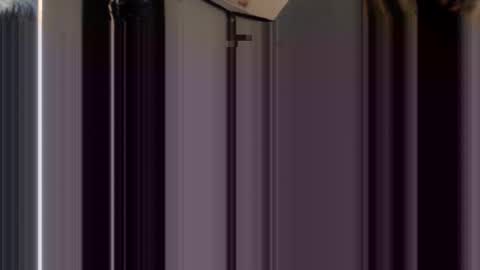 Snapshot of eurolex chatting on 21, 12, 2025 Alexander online show from 21, 12, 2025