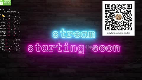 Snapshot of eva69muller chatting on 11, 1, 2025 Eva  next show  8pm CEST AMST online show from 11, 1, 2025