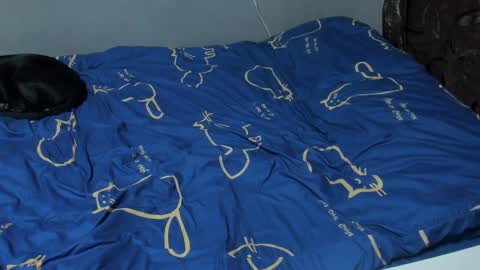 Eva online show from 6, 2, 2025