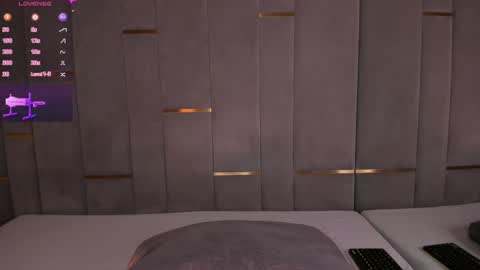 Snapshot of evalims chatting on 29, 1, 2025 EVA online show from 29, 1, 2025