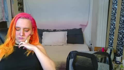 Chulal online show from 1, 12, 2025