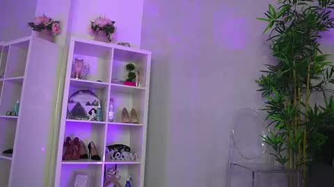 evewilder online show from 2, 3, 2026