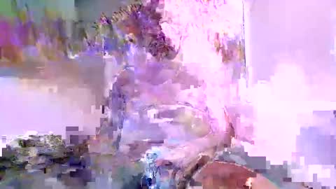 Naaktloper online show from 11, 2, 2026