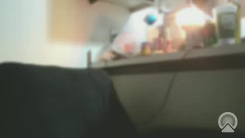 Snapshot of exoticlexi chatting on 4, 2, 2026 Exoticlexxii online show from 4, 2, 2026