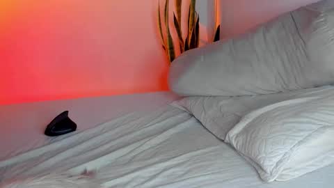 Snapshot of fabrizio_amery chatting on 3, 11, 2025 -  A N D E R online show from 3, 11, 2025