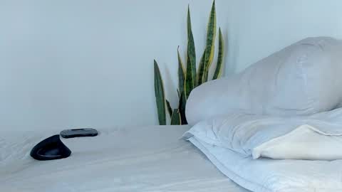 -  A N D E R online show from 9, 11, 2025