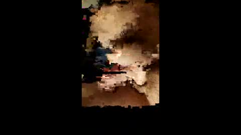 facsavar online show from 1, 2, 2025