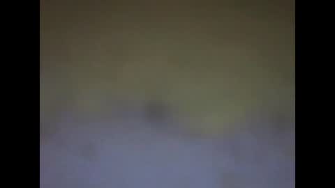 Snapshot of fafafa923 chatting on 12, 1, 2025 fafafa923 online show from 12, 1, 2025