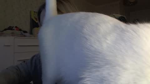 Snapshot of fairydreams_ chatting on 6, 11, 2025 Arisha online show from 6, 11, 2025