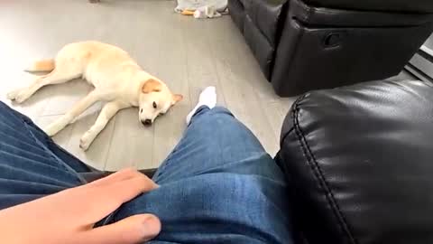 faker1414 online show from 19, 3, 2026