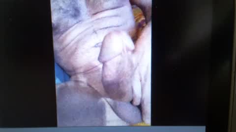 falushp online show from 23, 1, 2025