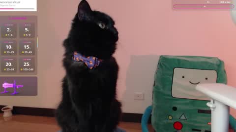 Snapshot of fantasma_gei chatting on 25, 10, 2025 Fantasma. online show from 25, 10, 2025