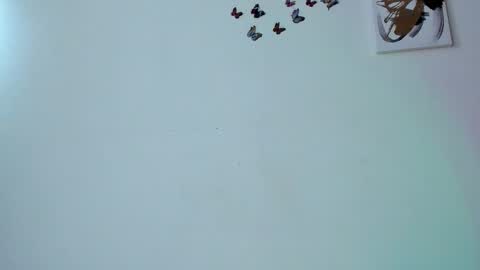 Ale online show from 24, 11, 2025