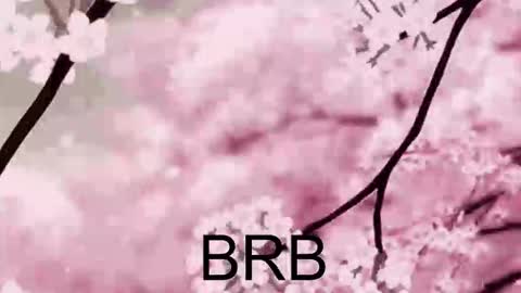 Snapshot of farahmantifel chatting on 10, 10, 2025 Anna Scovich online show from 10, 10, 2025