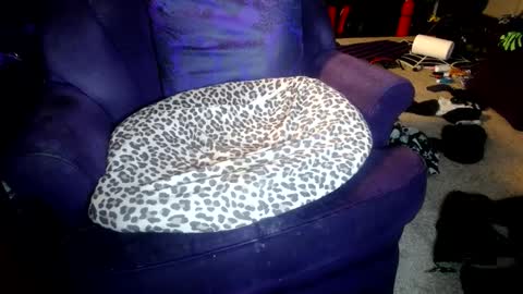 Farrah online show from 8, 10, 2025