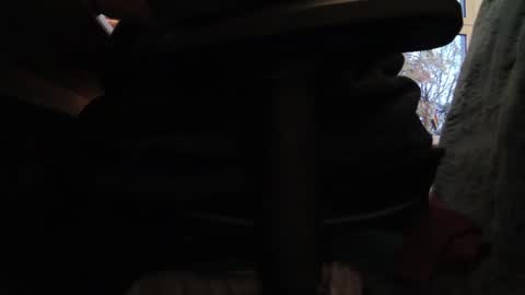 Snapshot of fat_bubble chatting on 26, 10, 2025 Fat Bernd online show from 26, 10, 2025