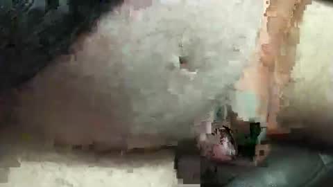 fatdaddy4you online show from 20, 9, 2025