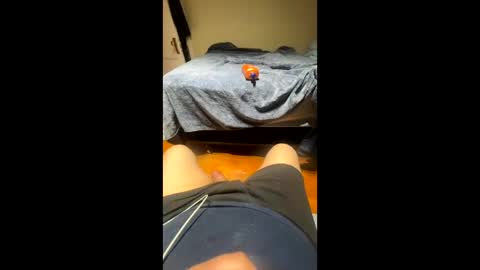 fatz71056 online show from 22, 11, 2025