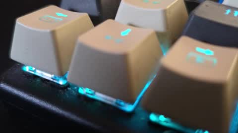 faverry online show from 14, 11, 2025