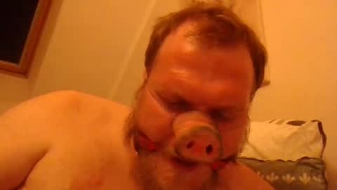 Horny Fat Boy online show from 20, 6, 2026