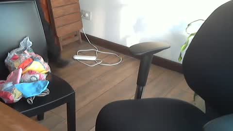 Snapshot of fedeglobos chatting on 17, 9, 2025 fedeGLOBOS online show from 17, 9, 2025