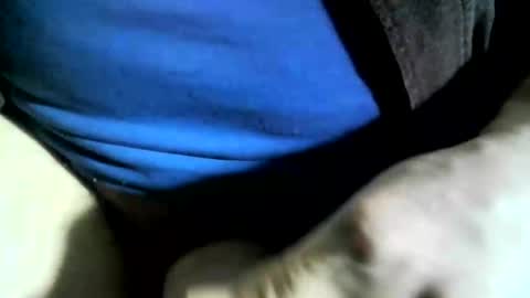 felicaste online show from 24, 1, 2025