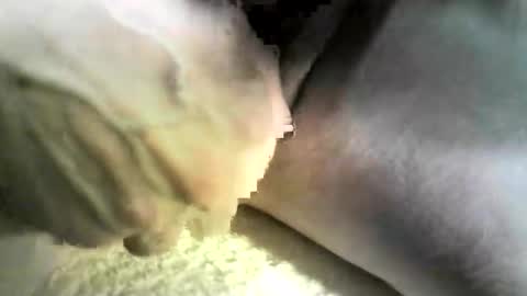 felicaste online show from 9, 10, 2025