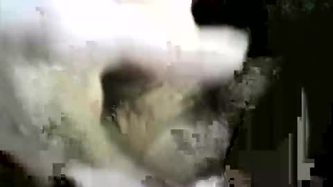 felicaste online show from 2, 12, 2025