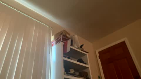 Snapshot of felicitybliss29 chatting on 3, 12, 2024 felicitybliss29 online show from 3, 12, 2024