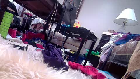 Snapshot of felicitybliss29 chatting on 27, 2, 2025 felicitybliss29 online show from 27, 2, 2025