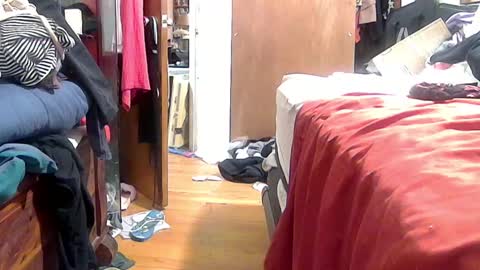 Snapshot of felicitybliss29 chatting on 16, 10, 2025 felicitybliss29 online show from 16, 10, 2025