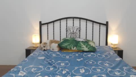 Snapshot of femininets69 chatting on 11, 2, 2025 kaylee online show from 11, 2, 2025