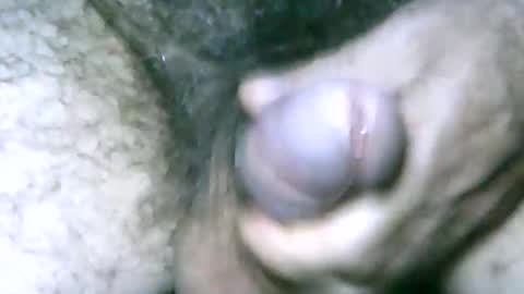 fer_2197 online show from 1, 1, 2025