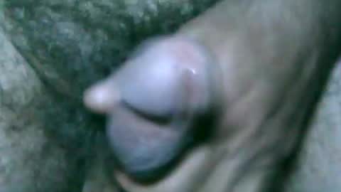 fer_2197 online show from 9, 9, 2025