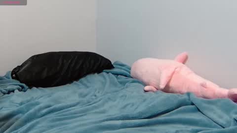 Snapshot of feralasf chatting on 12, 1, 2025 FE fee online show from 12, 1, 2025