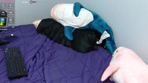 Snapshot of feralasf chatting on 31, 1, 2025 FE fee online show from 31, 1, 2025