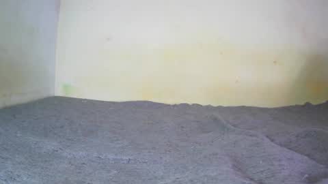 Fern Tlk online show from 20, 12, 2024