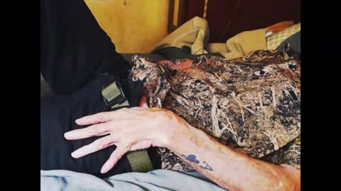 ferra_testarossa online show from 4, 1, 2025