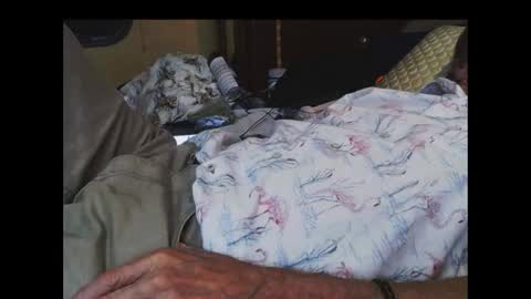 ferra_testarossa online show from 17, 9, 2025