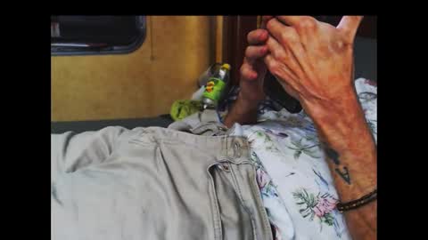 ferra_testarossa online show from 9, 10, 2025