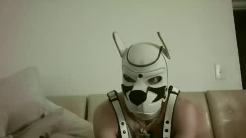 fetishsearch1abdl online show from 25, 9, 2025