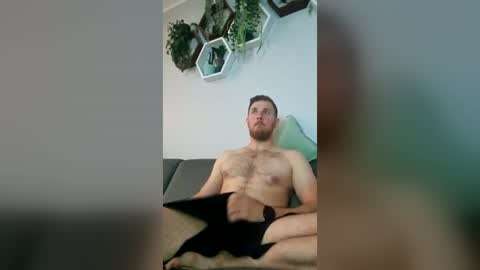 fiolkamil online show from 16, 6, 2026