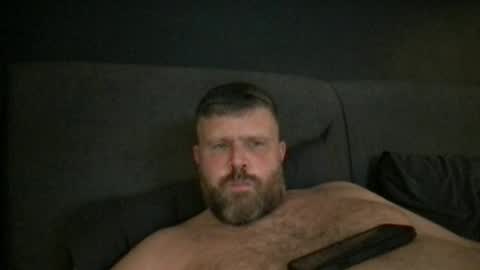 Snapshot of fin_dom_bear chatting on 7, 7, 2026 fin bear dom online show from 7, 7, 2026