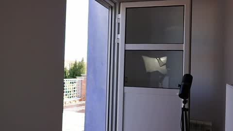 Marcos online show from 3, 4, 2026