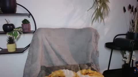 fitness1989 online show from 20, 7, 2026