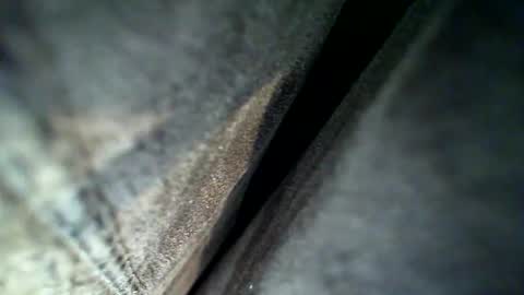 Snapshot of flash1372 chatting on 28, 2, 2026 flash online show from 28, 2, 2026