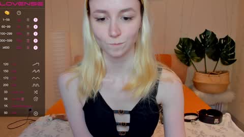 FlexiMona online show from 8, 12, 2024