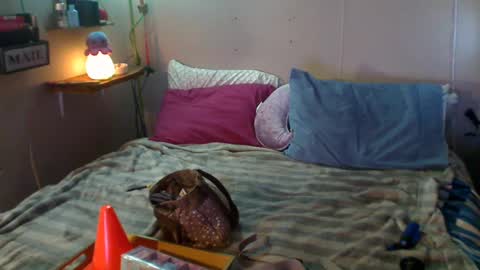 Snapshot of flopikin69 chatting on 22, 12, 2024 Eisha online show from 22, 12, 2024